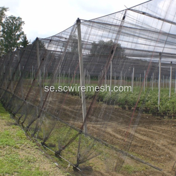 Diamond Hole Knotted HDPE Anti Bird / Pigeon Net